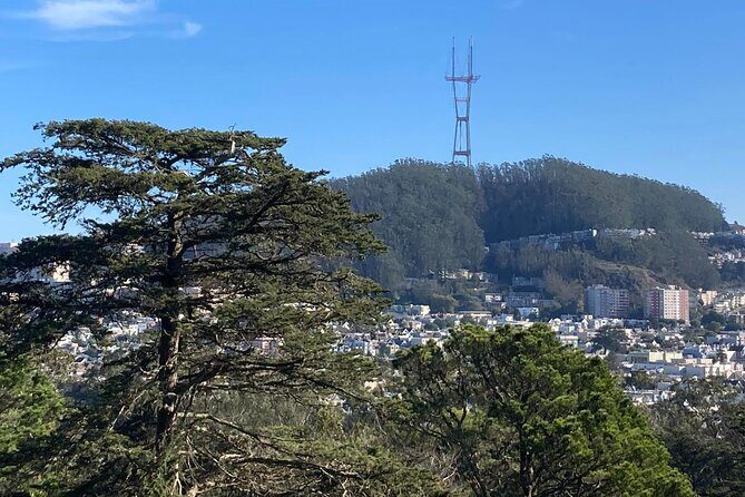 The Secrets of Golden Gate Park: A San Francisco Chronicle Self-Guided Tour - Who Is This Tour Best For?