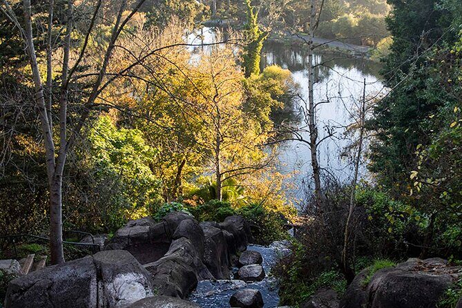 The Secrets of Golden Gate Park: A San Francisco Chronicle Self-Guided Tour - The Sum Up