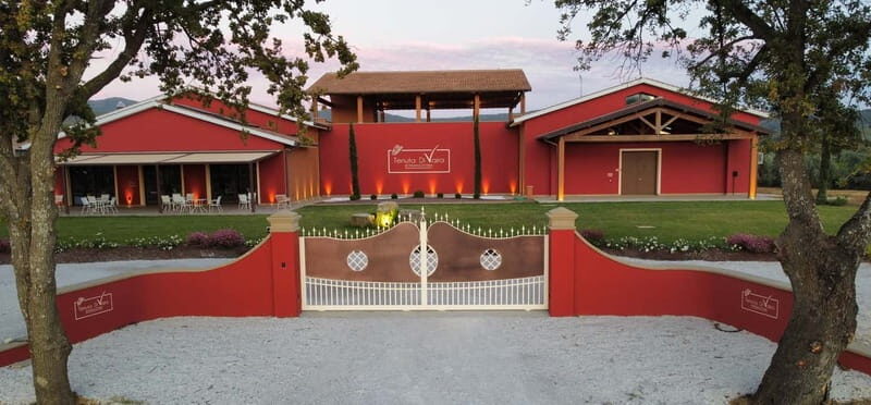 The Selections: visit and tasting in the Bolgheri Doc region - Who Will Love This Tour?