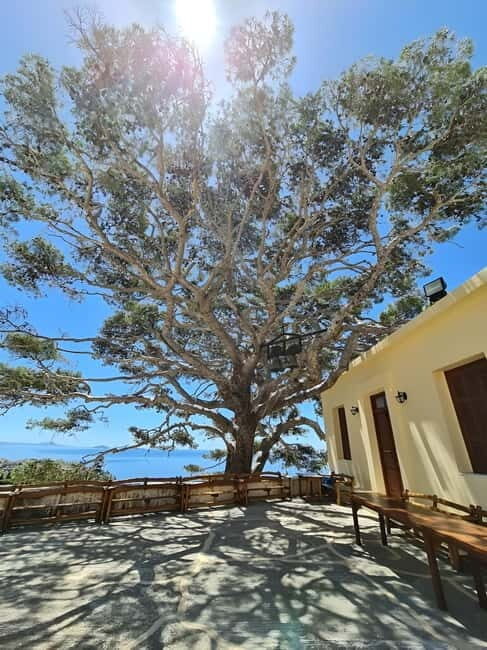 The selective food tour Feel like local from Heraklion - What to Expect from the Tour