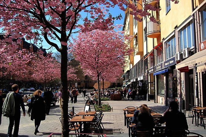 The Södermalm Tour in Stockholm - The Itinerary: Breaking Down the Highlights