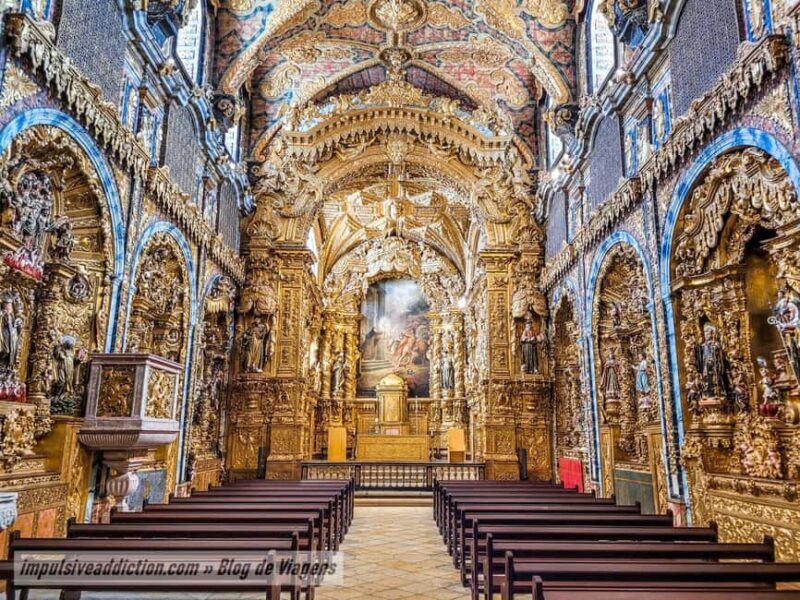 The Soul of Porto: Walking Tour with Food and Wine Tasting - Discovering Porto: What the Tour Offers