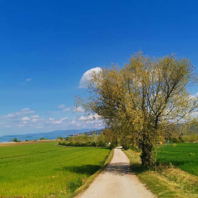 The spell of Lake Trasimeno Trekking Tour - Key Points