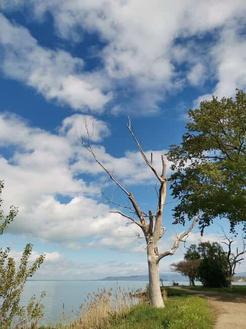 The spell of Lake Trasimeno Trekking Tour - FAQ about The Spell of Lake Trasimeno Trekking Tour