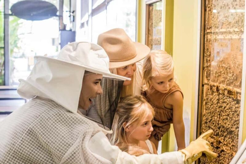 The Sunshine Coast: The Ginger Factory Play Taste & Discover - Who Will Love This Experience