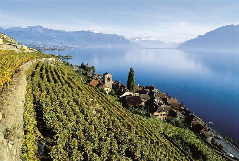 The Swiss Riviera Experience  Exclusive Private Tour - Key Points