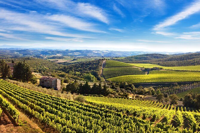 The Taste of Chianti:a Wine and Gourmet Private Tour with a truffle-based lunch - FAQ