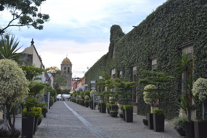 The Tequila Root - A closer look at what makes The Tequila Root tour a solid choice