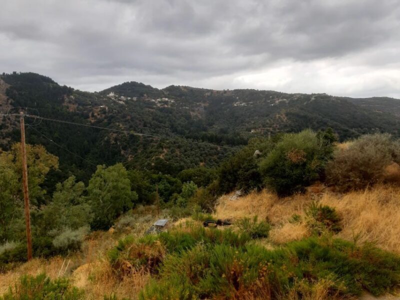 The Theriso Gorge and Village E-Bike Adventure - Key Points