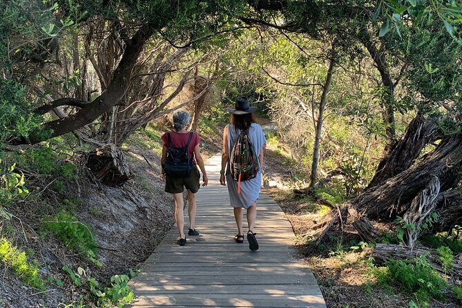 The Top Ten Hidden Harbour Beaches Tour with Jen - Who Is This Tour Best For?