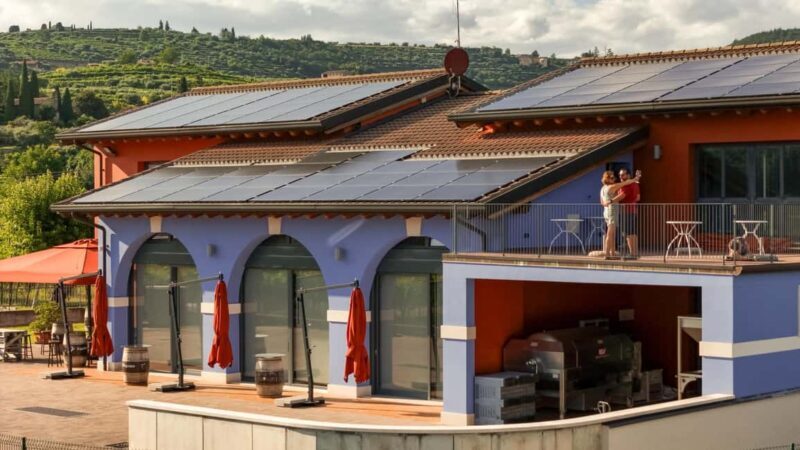 THE TRADITIONS OF VALPOLICELLA: WINE, EVO OIL, AND HONEY TASTING - The Tasting and Food Pairing