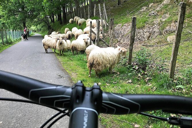 The Train Track Trail Mountain Bike Ride - Private experience - Itinerary Breakdown