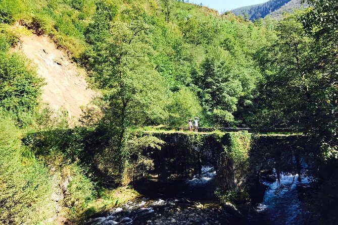 The Train Track Trail Mountain Bike Ride - Private experience - Authentic Feedback from Travelers