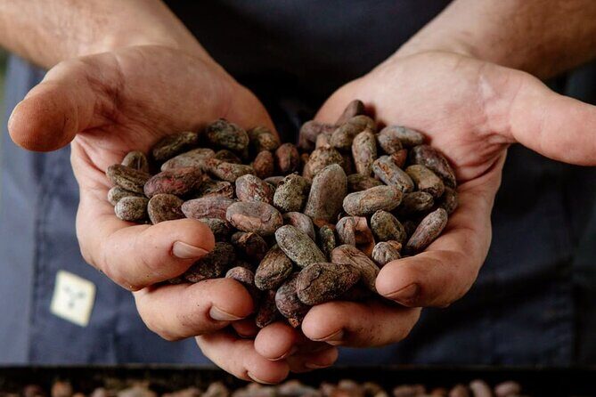 The Turin Chocolate Factory Guided Tour & Tasting - Key Points