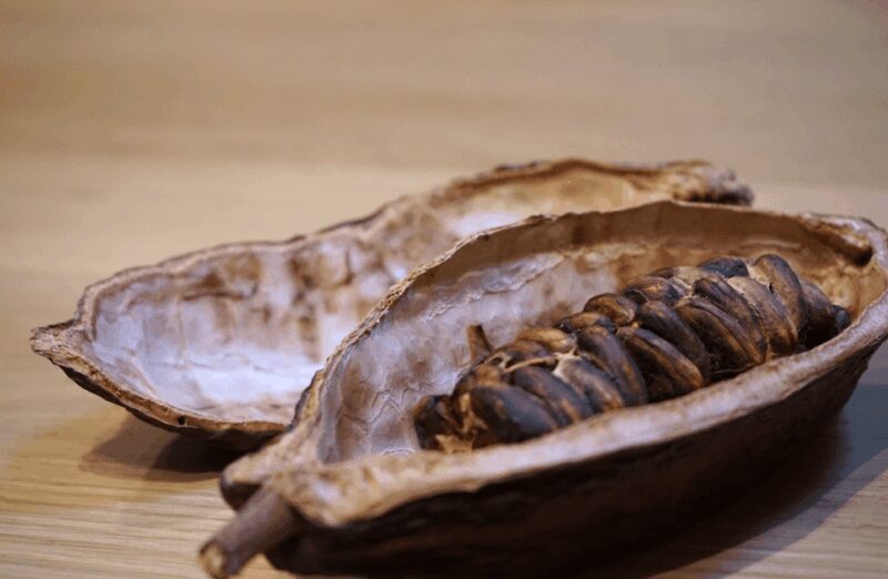 The Turin Chocolate Tasting Experience - Practical Tips and Considerations