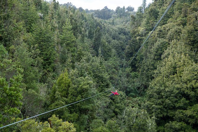 The Ultimate Canopy Zipline Experience Private Tour From Auckland - What’s Included and What to Expect