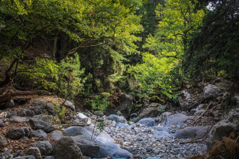 The Unique Tour of Samaria Gorge - What Makes This Tour Stand Out?