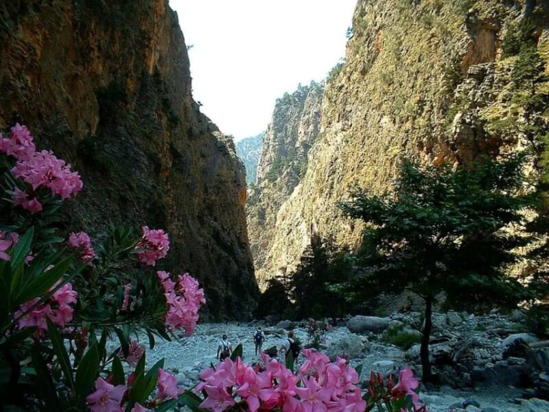 The Unique Tour of Samaria Gorge - The Cost: Is It Worth It?