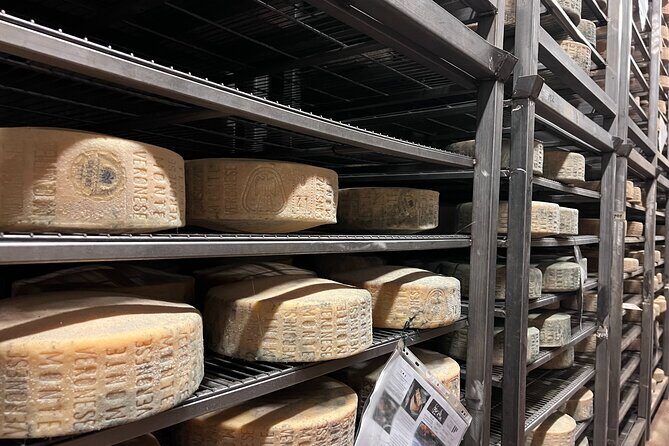 The Valpolicella food & wine driving tour: cheese factory+ winery - A Deep Dive into the Experience