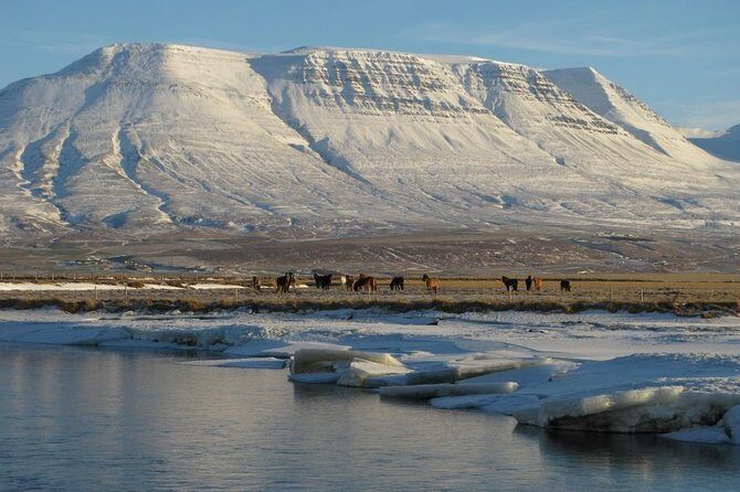 The Viking Horse Riding Experience in North Iceland - Exploring the Viking Horse Riding Experience in North Iceland