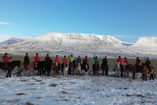 The Viking Horse Riding Experience in North Iceland - The Sum Up