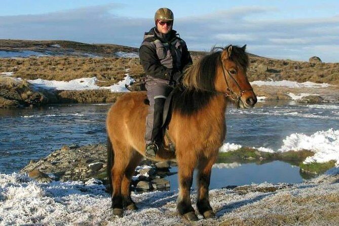 The Viking Horse Riding Experience in North Iceland - FAQ