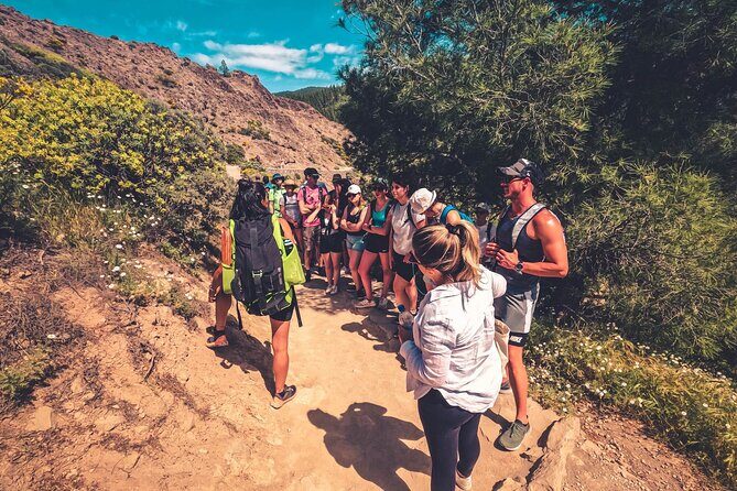 The Volcano Heart Tour: Hiking, Tasting and Sunset Experience - What Travelers Are Saying