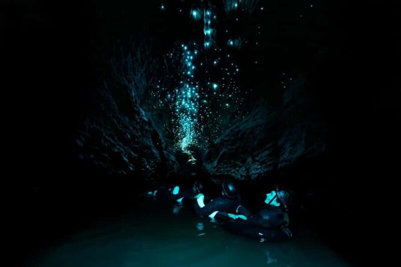 The Waitomo Experience : Okohua Glowworm Cave Tour - The Itinerary: What To Expect