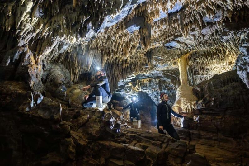 The Waitomo Experience : Okohua Glowworm Cave Tour - Is It Worth the Cost?