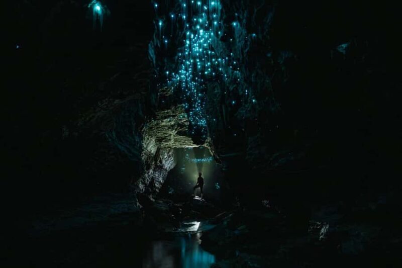 The Waitomo Experience : Okohua Glowworm Cave Tour - Final Thoughts
