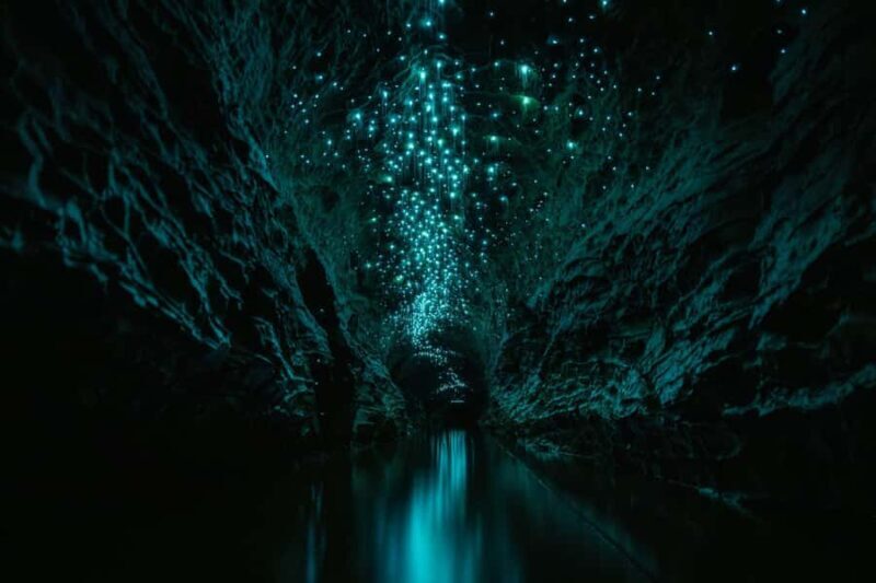 The Waitomo Experience : Okohua Glowworm Cave Tour - FAQ
