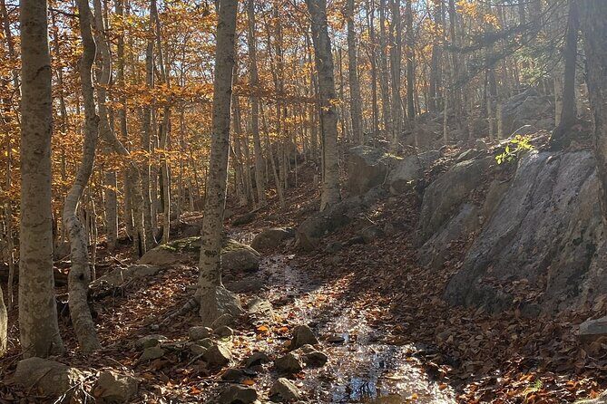 The Way Life Should Be: 4-hr, Private Guided Tour of Acadia NP. - FAQ