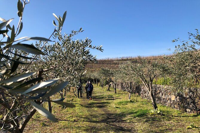 The White Lotus Experience  Sicily (Private Tour) - Who Should Consider This Tour?