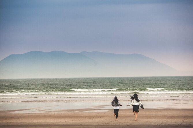 The Wild Coast of Dingle Peninsula and Slea Head from Killarney - Key Points