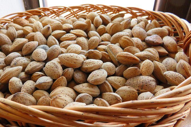 The wine route by bike - Possible Drawbacks and Considerations