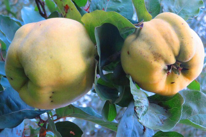 The wine route by bike - Final Thoughts