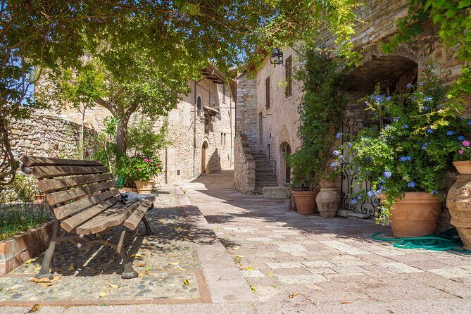 The Wonders of Assisi Private Walking Tour - Practical Details and Value