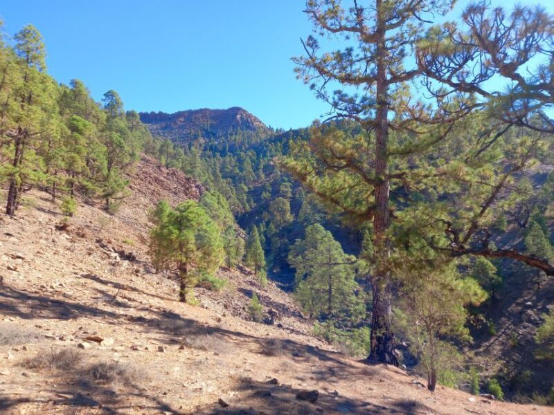 The Wow Factor Walk - What the Tour Looks Like: A Breakdown of the Day