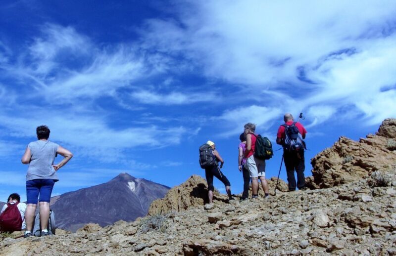 The Wow Factor Walk - The Value Factor