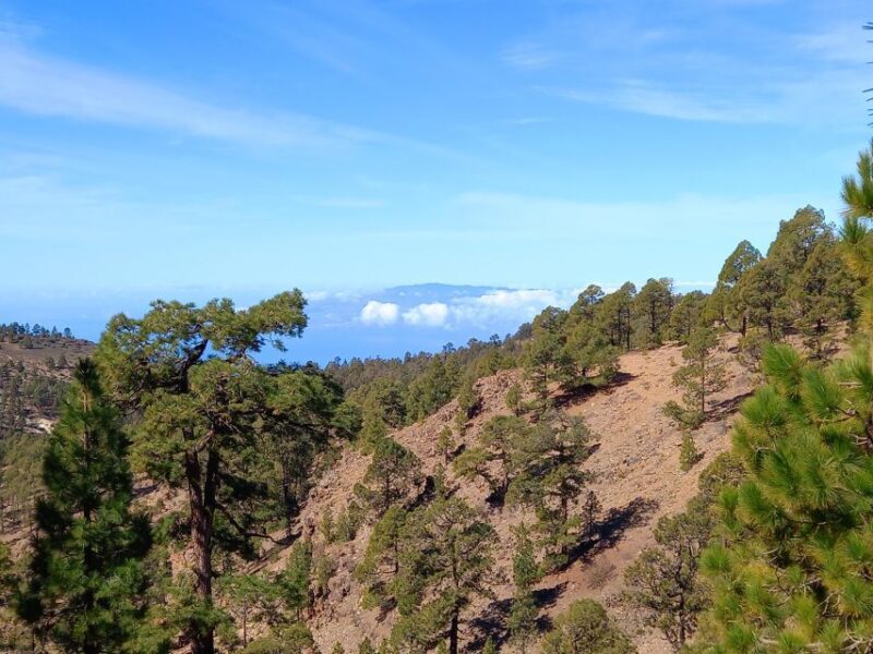 The Wow Factor Walk - Real Traveler Feedback: What People Love and Recommend