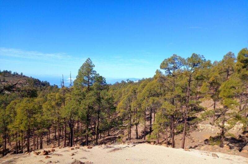 The Wow Factor Walk - Final Thoughts: Is This Tour Right for You?