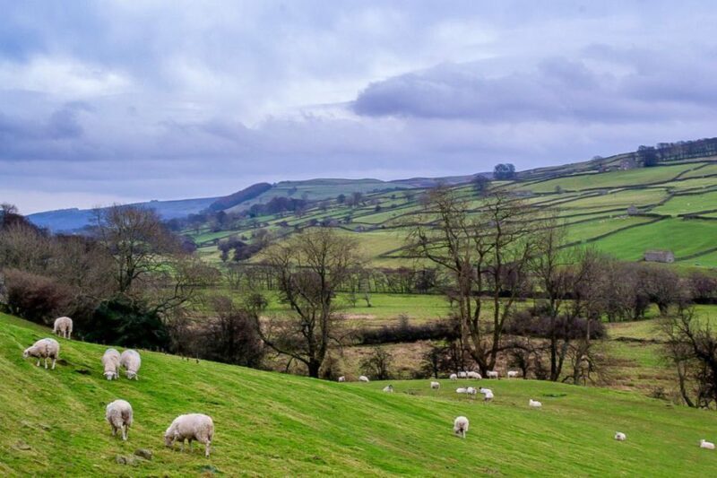 The Yorkshire Dales Tour from York - What to Expect from the Yorkshire Dales Tour
