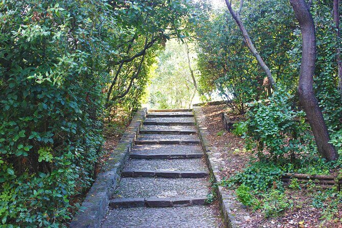 Theatrical Walking Tour of Nice - Practical Considerations