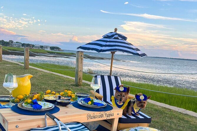 Themed Luxury Picnic - What’s Not Included and Considerations