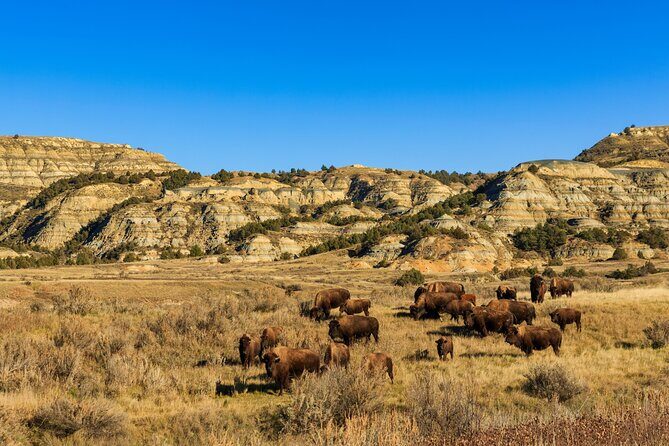 Theodore Roosevelt National Park Self-Guided Driving Audio Tour - Who Is This Tour Best Suited For?