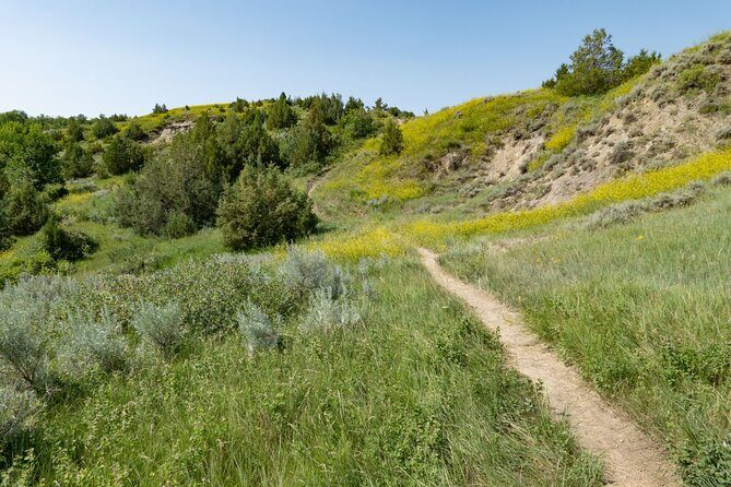 Theodore Roosevelt South Unit Self-Guided Driving Audio Tour - What’s Included and How It Works
