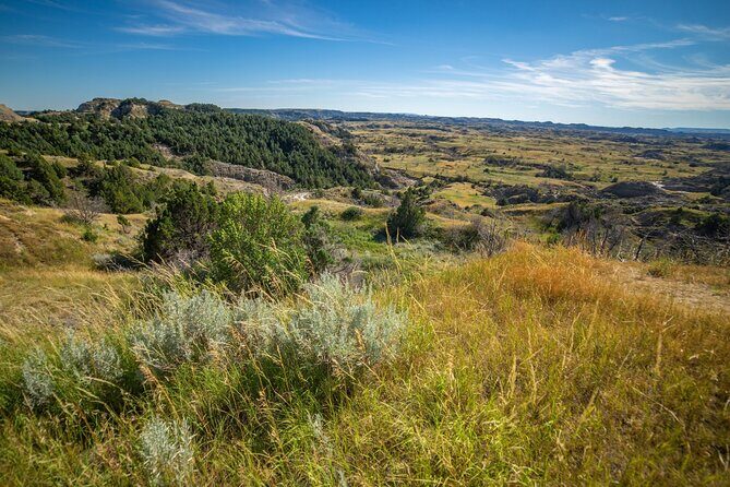 Theodore Roosevelt South Unit Self-Guided Driving Audio Tour - The Sum Up