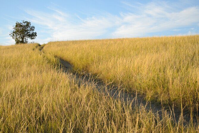 Theodore Roosevelt South Unit Self-Guided Driving Audio Tour - FAQ