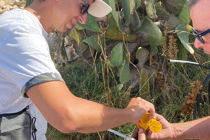 Thermal Baths natural hot spring and Greek Temple of Segesta - Is It Worth the Price?