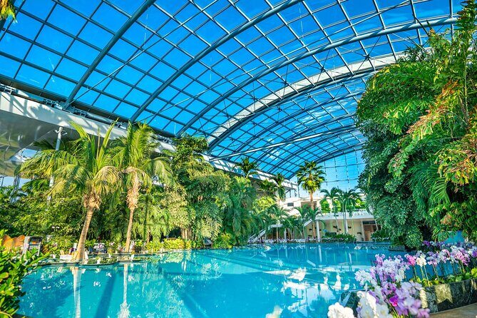 Therme Bucharest: Entry Ticket and Round-Trip Transfer - What to Expect from the Tour
